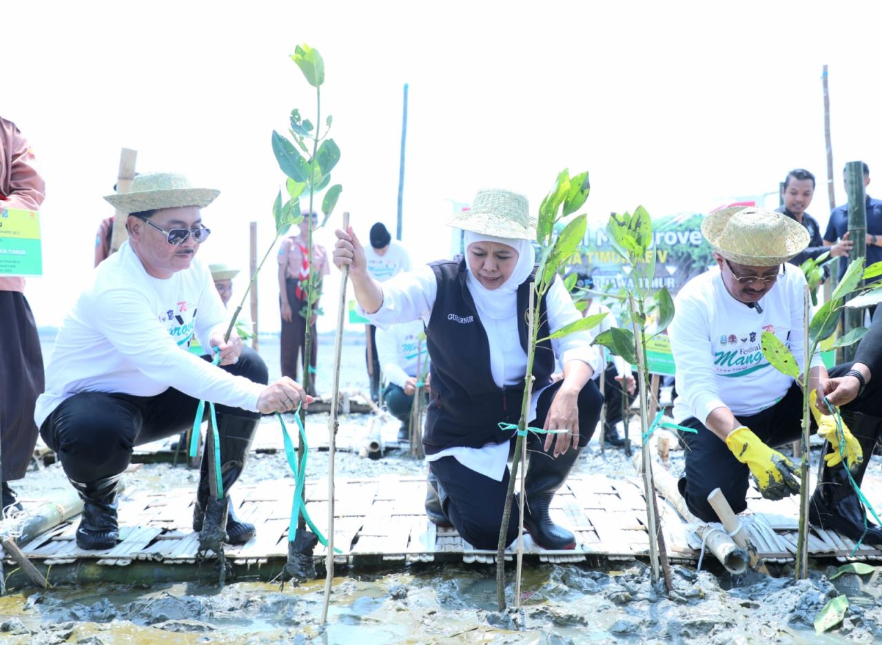 Kejar "Net Zero Emission" 2060, Gencarkan Penanaman Mangrove di Wilayah Pesisir
