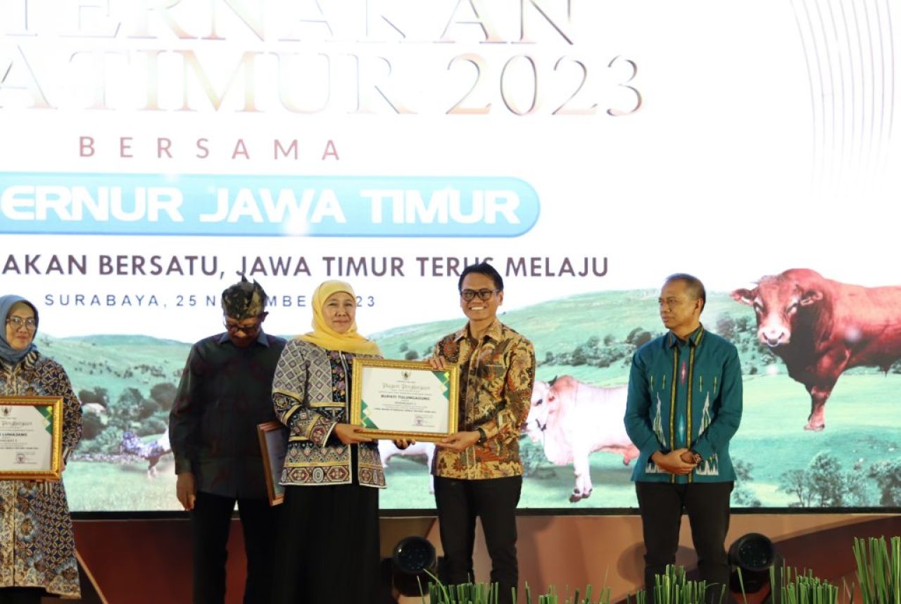 Tulungagung Daerah Dengan Kelahiran Sapi dan Kerbau Lewat IB Terbanyak ke-2 di Jatim