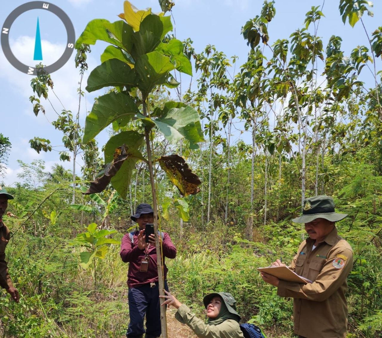 ThumbnailReboisasi Sukses, Lahan Kompensasi PT BSI Melebihi Target Reboisasi Sukses, Lahan Kompensasi PT BSI Melebihi Target