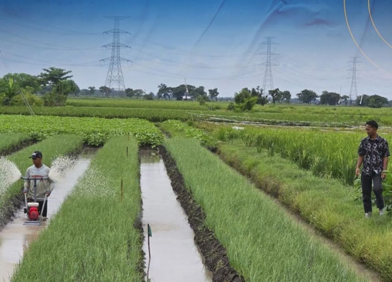 DPMD Jatim tinjau mesin penyiram bawang di Kab Nganjuk. (Red)