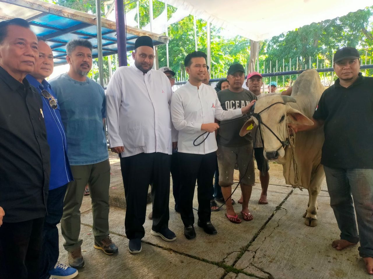 Hari Raya Idul Adha Partai Demokrat Jatim Potong 15 Ekor Hewan Kurban