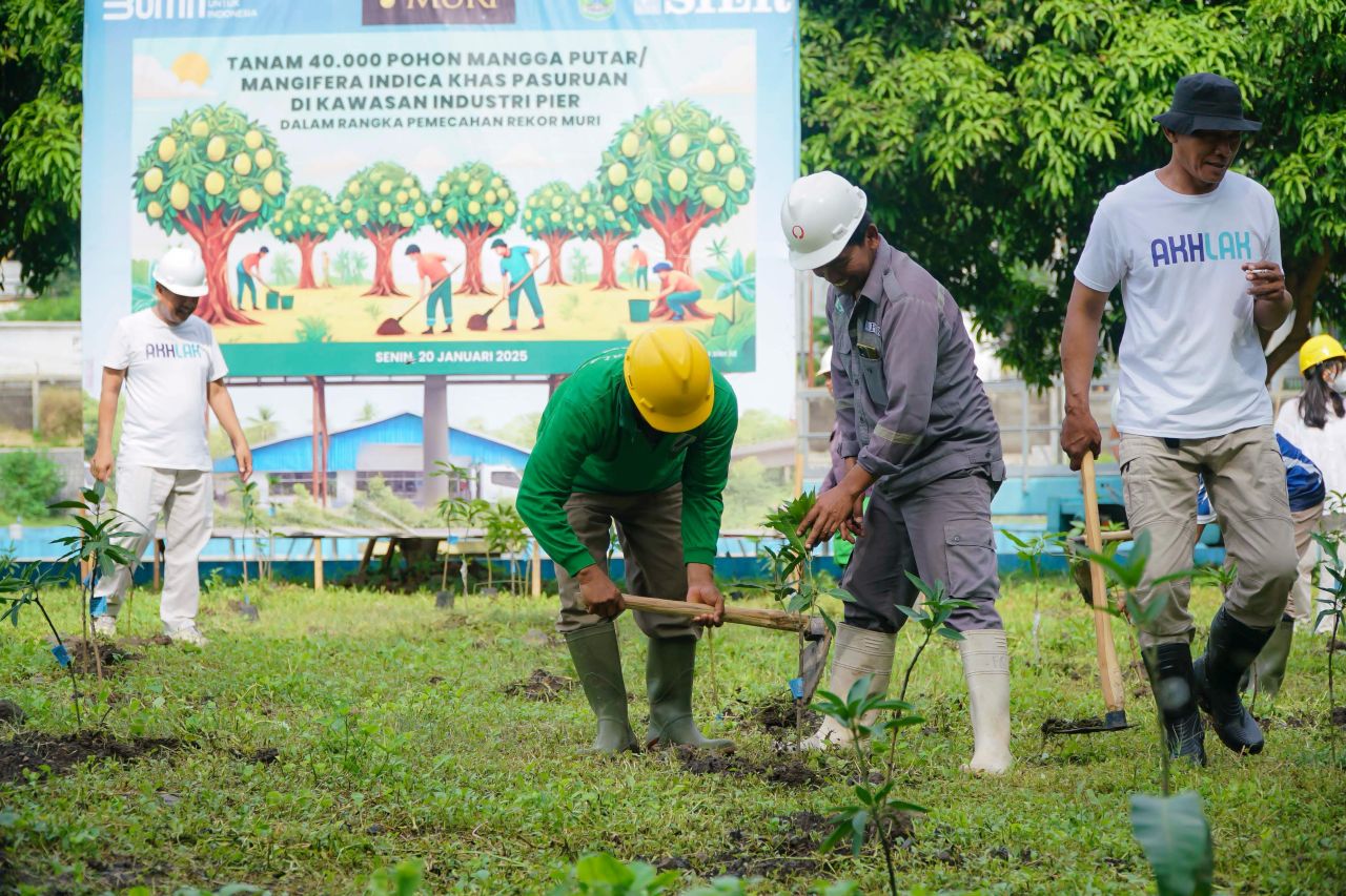 SIER dan Pemkab Pasuruan Catat Rekor Dunia MURI Tanam Mangga Putar Terbanyak