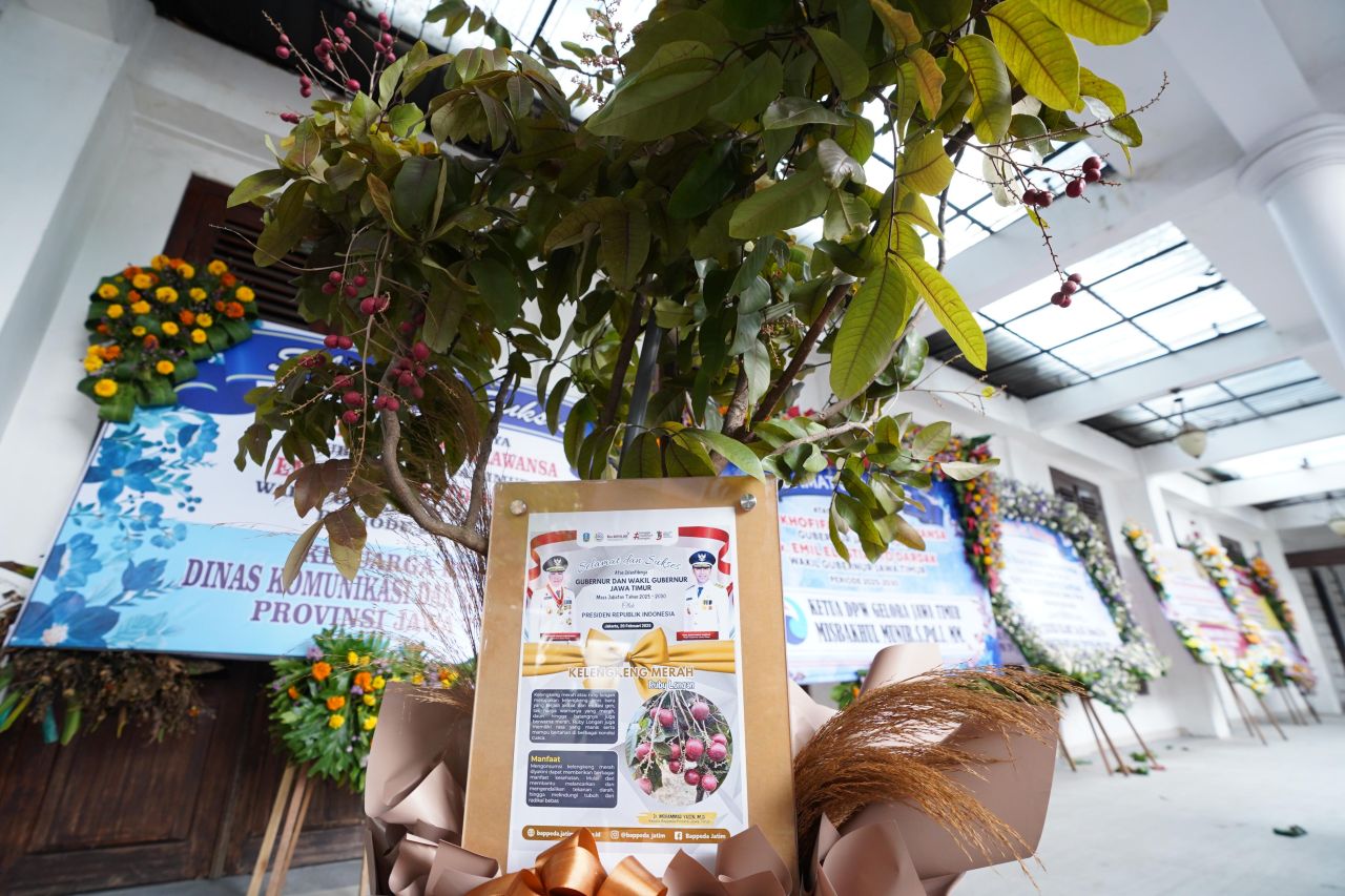 Ada Bibit Klengkeng Merah di Tengah Ratusan Karangan Bunga Ucapan Selamat untuk Gubernur Khofifah di Gedung Grahadi