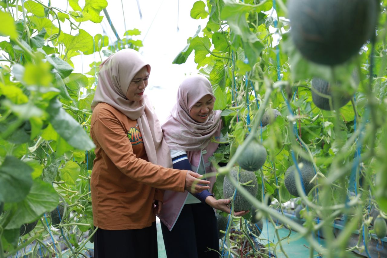 PLN Peduli Kembangkan Wisata Alam Gosari
