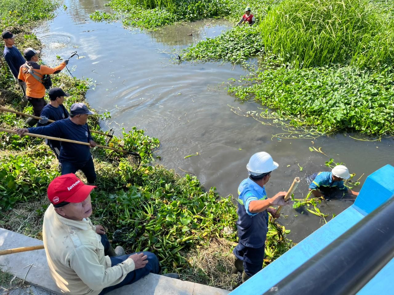 ThumbnailSIER, Sampoerna, dan Pemkot Bersihkan Eceng Gondok Sungai Tambak Oso untuk Cegah Banjir SIER, Sampoerna, dan Pemkot Bersihkan Eceng Gondok Sungai Tambak Oso untuk Cegah Banjir