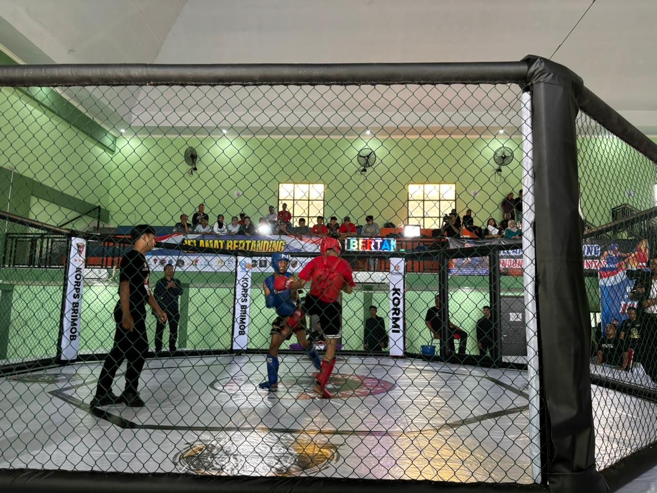 Sambut HUT ke-80, Brimob Polda Jatim Gelar Kejurda Tarung Bebas Indonesia 2025