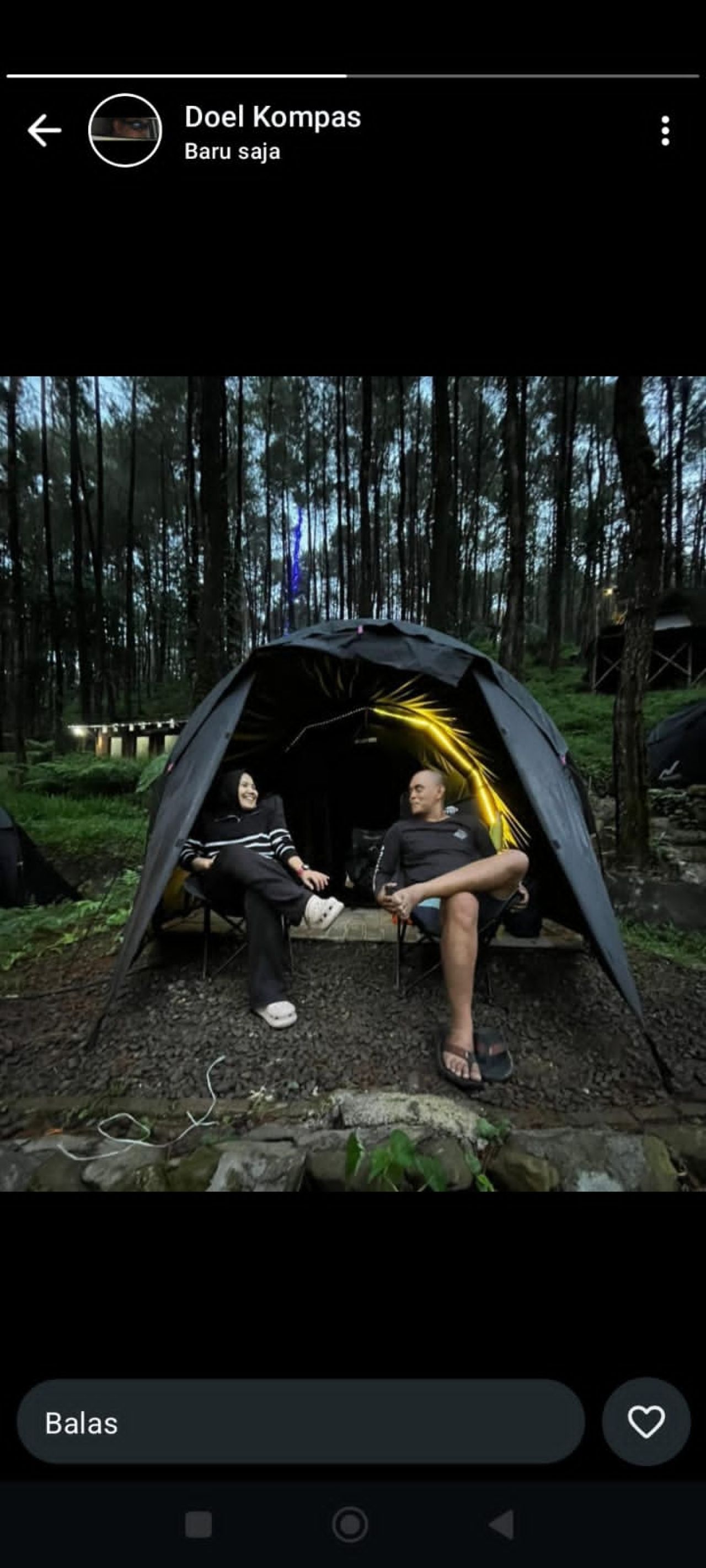 Rasakan Sensasi Staycation di Tengah Hutan Pinus