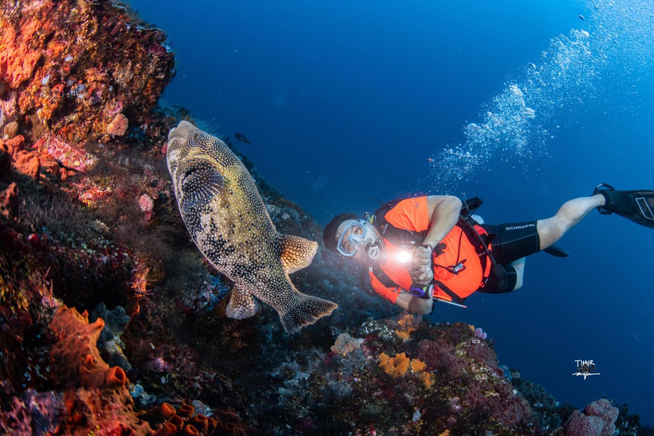 Diving, Disiplin, dan Kerendahan Hati
