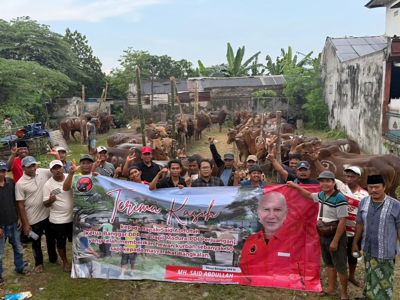 Gotong Royong Idul Adha, PDIP Jatim Borong 468 Ekor Sapi untuk Disebar Hingga ke Pelosok Kampung
